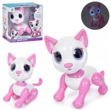 Тварина 8310, кішка, в кор-ці