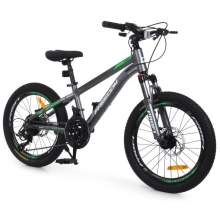 . Велосипед PROFI FREEDOM 20 д. FD-2002