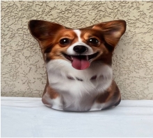 яя Подушка №31 Чихуа Риже-біла