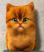 яя Подушка №80 Мейнкун рижий мала