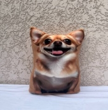 яя Подушка №28 Чихуа Рижа