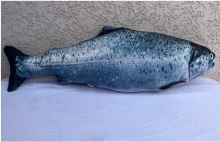 яя Подушка №13 Форель