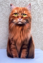 яя Подушка №38 Мейнкун рижий