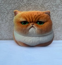 яя Подушка №51 Кіт Гарфілд