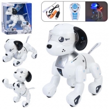 Р/К Тварина 8003, в кор-ці