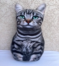 яя Подушка №41 Американець