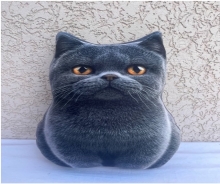 яя Подушка №53 Вісловухий мала