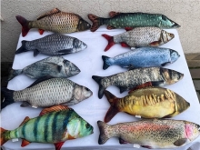 яя Подушка №14 Риба Мікс мала