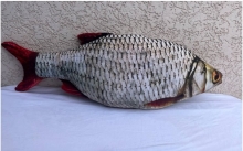 яя Подушка №11 Красноперка