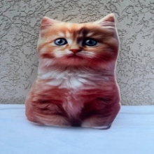 яя Подушка №47 Кіт Рижик