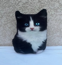 яя Подушка №48 Кіт Мурзик