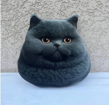 яя Подушка №50 Кіт чорний