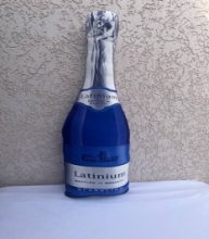 яя Подушка №56 Шампанське