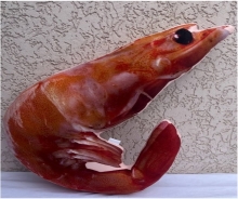 яя Подушка №15 Креветка