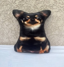 яя Подушка №30 Чихуа Чорна