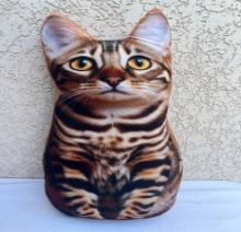 яя Подушка №45 Бенгал