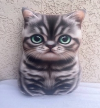 яя Подушка №49 Американець мала