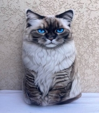 яя Подушка №44 Сіамський