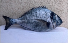 яя Подушка №9 Дорадо