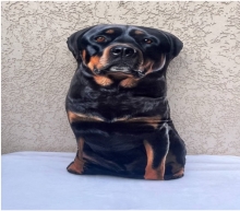 яя Подушка №22 Ротвейлер