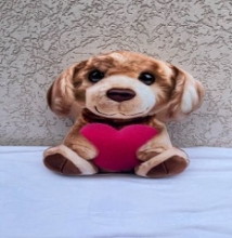 яя Подушка №76 Собака Серце