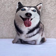 яя Подушка №23 Хаски