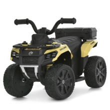 . Квадроцикл M 6286EBLR-13