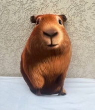 яя Подушка №70 Капібара Велика