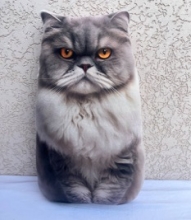 яя Подушка №42 Персидський