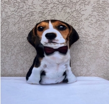 яя Подушка №21 Бигль