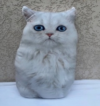 яя Подушка №46 Кіт білий