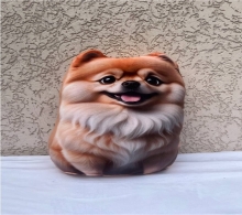 яя Подушка №36 Шпіц