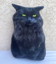 яя Подушка №43 Кіт чорний