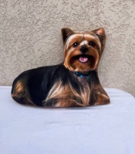 яя Подушка №27 Йорк