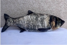 яя Подушка №6 Товстолоб