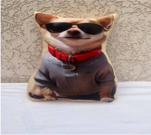 яя Подушка №29 Чихуа Окуляри