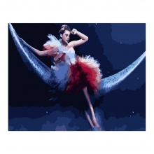 яя Картина за номерами Нічний танок 40х50 см (GS302)