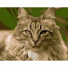 яя Картина за номерами Горда кішка 40х50 см (DY186)
