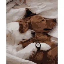 яя Картина за номерами Полудній сон 40х50 см (DY221)