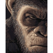 яя Картина за номерами Злий погляд 40х50 см (DY279)