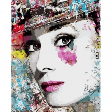 яя Картина за номерами Яскрава Одрі 40х50 см (GS1069)