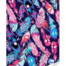 яя Картина за номерами  Різнокольорові пір'я на кольоровому фоні 40х50 (GS1604)
