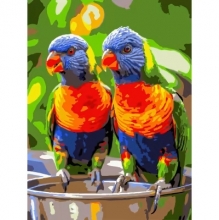 яя Картина за номерами Яскраві папуги 30Х40 (SS-1258)