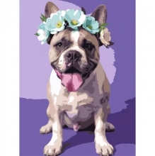 яя Картина за номерами Пес у віночку 30Х40 (SS-1283)