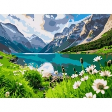 яя Картина за номерами Альпійська долина 30Х40 (SS-1292)