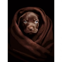 яя Картина за номерами Песик у пліді на чорному фоні 30Х40 (FH-26)