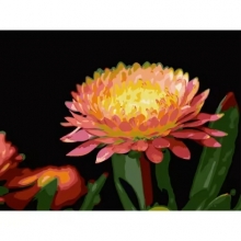 яя Картина за номерами Квітка гербери на чорному фоні 30Х40 (FH-28)