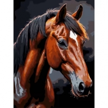 яя Картина за номерами Коричневий кінь на чорному фоні 30Х40 (FH-39)