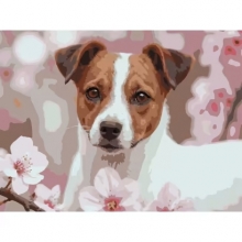 яя Картина за номерами Миловидний пес 30Х40 (SS-1309)