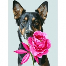 яя Картина за номерами Пес з півонією 30Х40 (SS-1310)